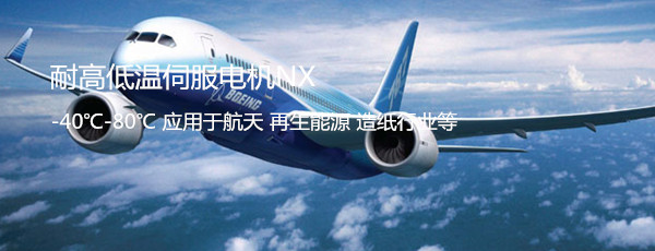 耐高低温电机