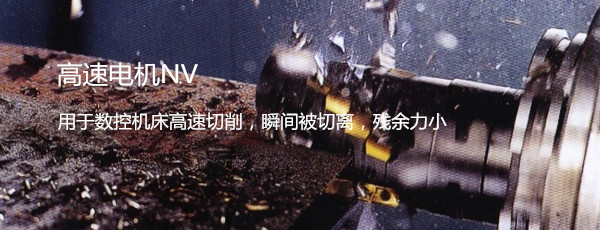 高速伺服电机