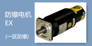 防爆伺服电机EX